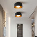 Lumosphere Ceiling Light.