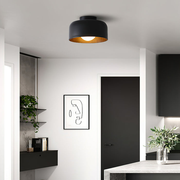 Lumosphere Ceiling Light.