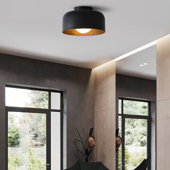 Lumosphere Ceiling Light.