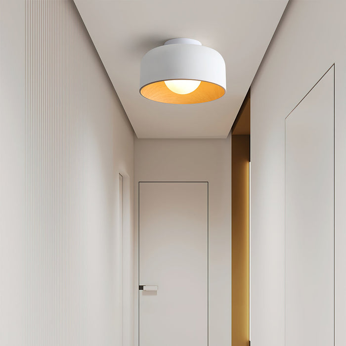 Lumosphere Ceiling Light.