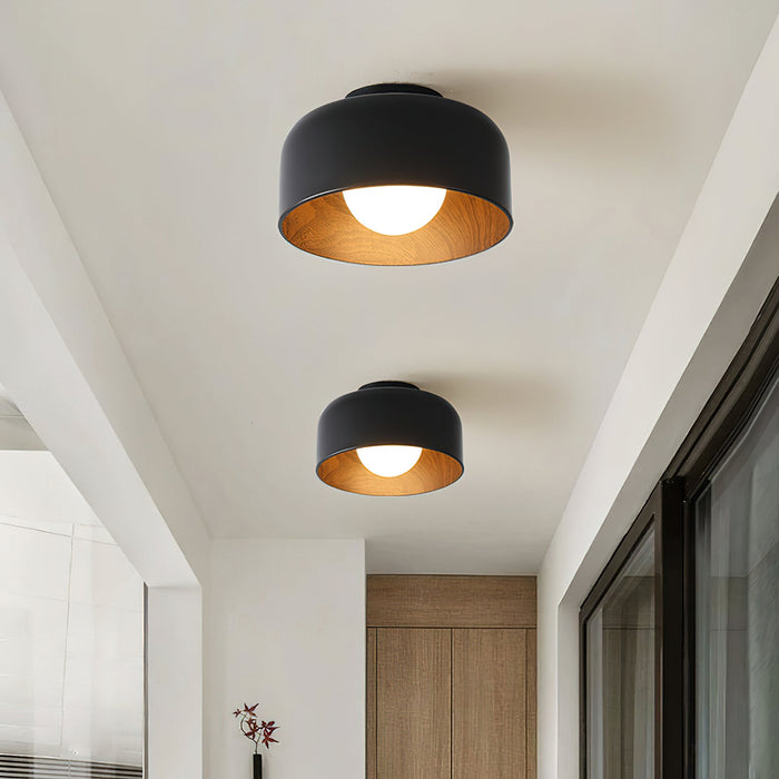 Lumosphere Ceiling Light