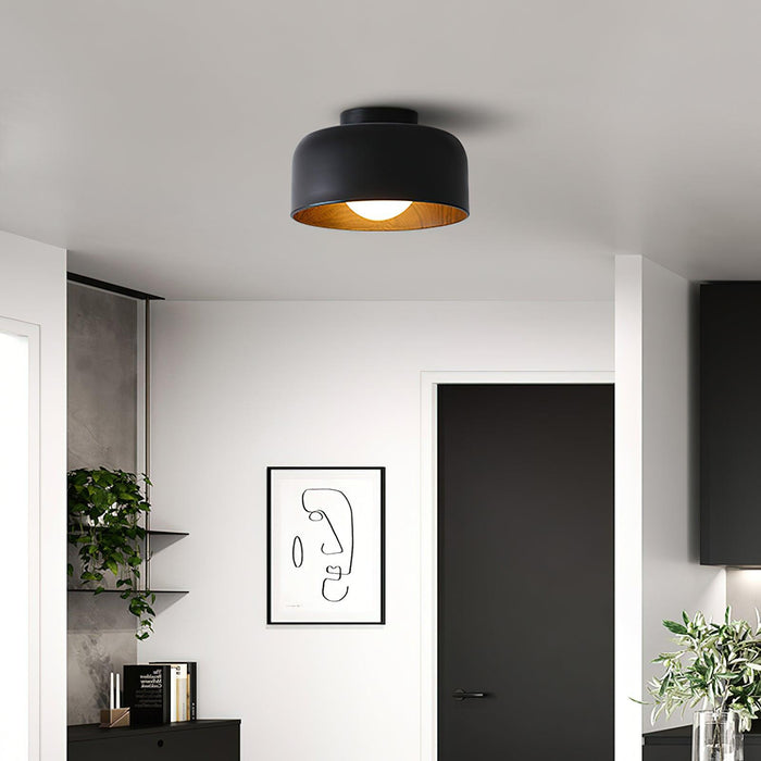 Lumosphere Ceiling Light - DWHOME