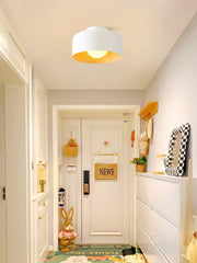 Lumosphere Ceiling Light-DWHOME