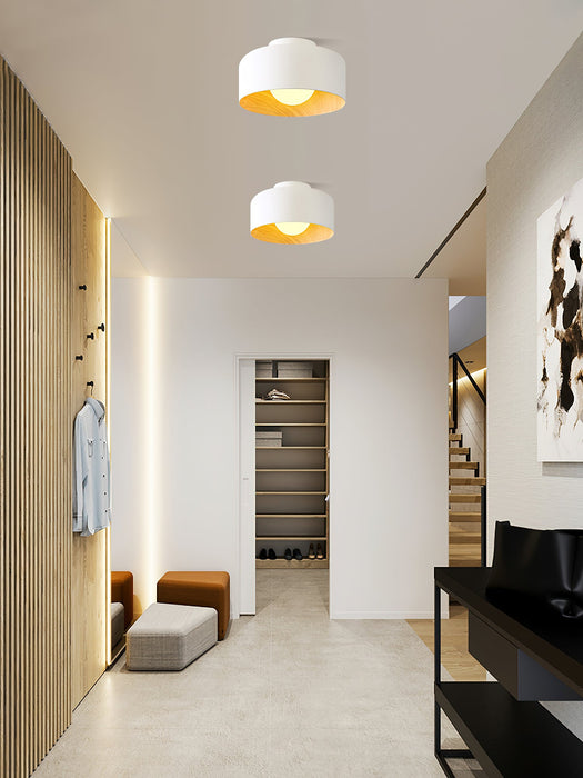 Lumosphere Ceiling Light