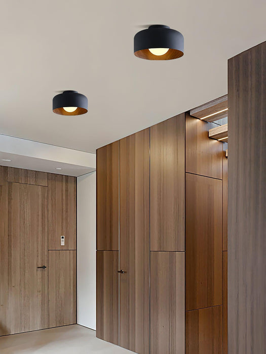 Lumosphere Ceiling Light - DWHOME