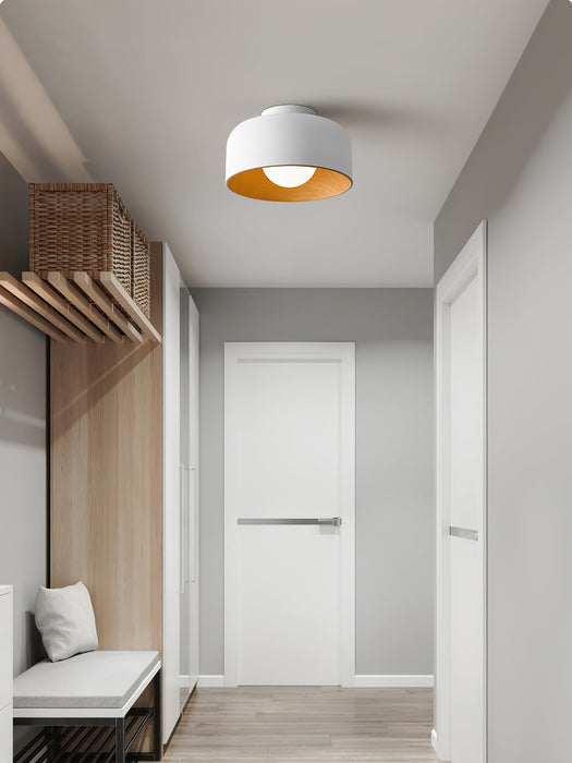 Lumosphere Ceiling Light.