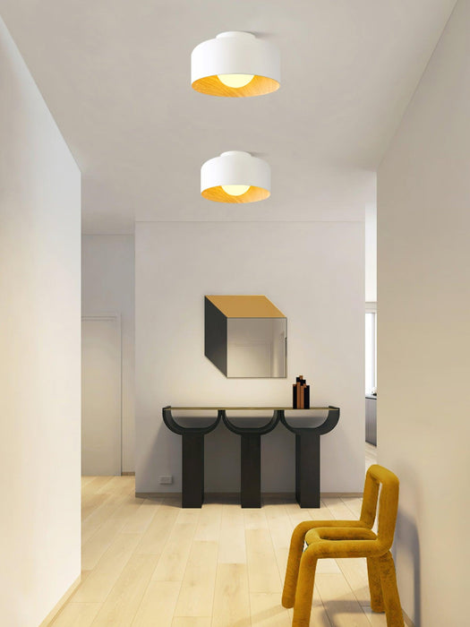 Lumosphere Ceiling Light - DWHOME