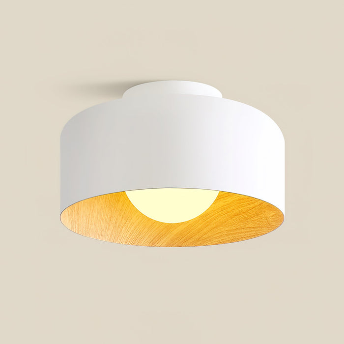 Lumosphere Ceiling Light