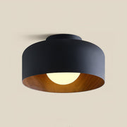 Lumosphere Ceiling Light-DWHOME