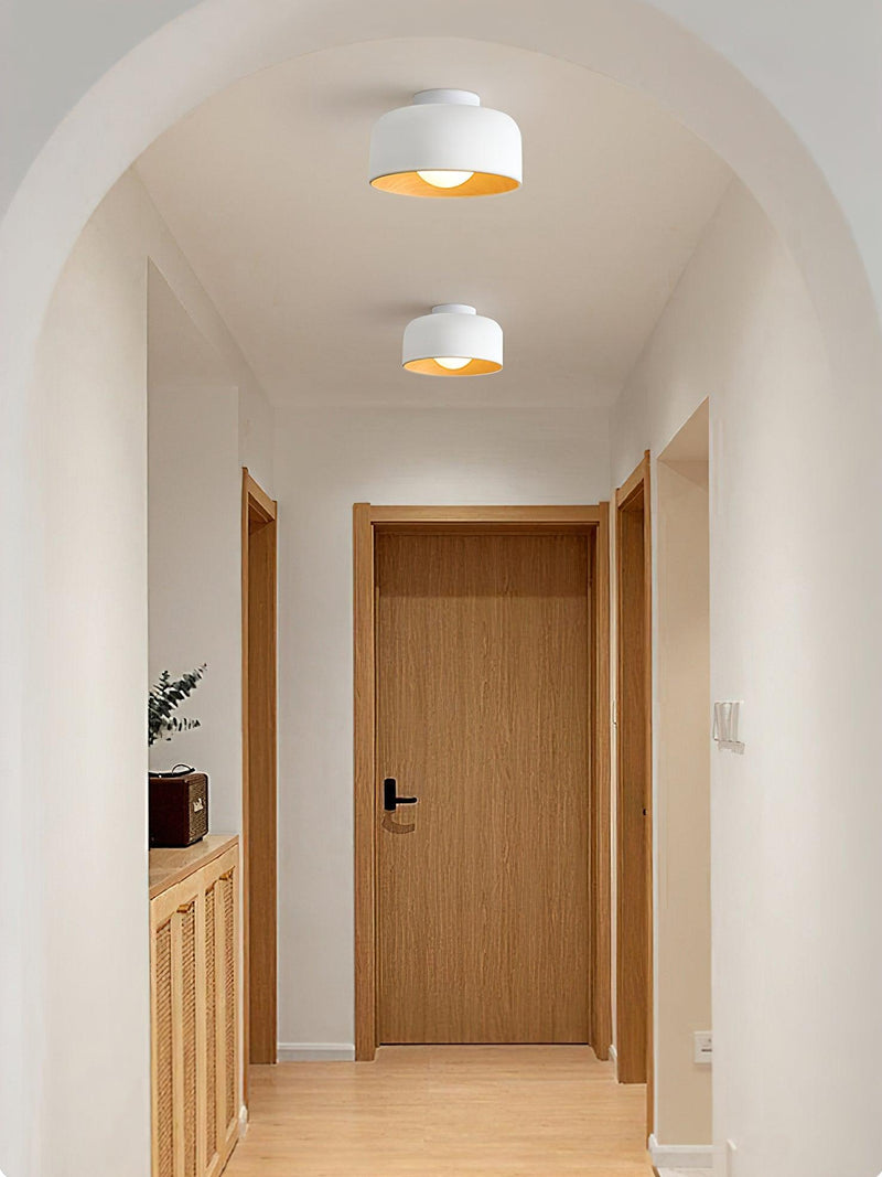 Lumosphere Ceiling Light-DWHOME