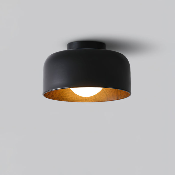 Lumosphere Ceiling Light.