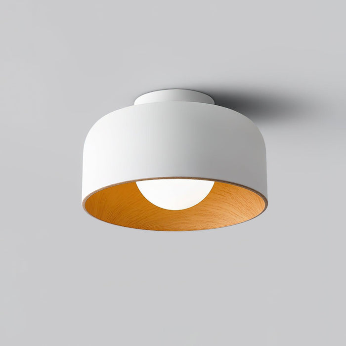 Lumosphere Ceiling Light - DWHOME