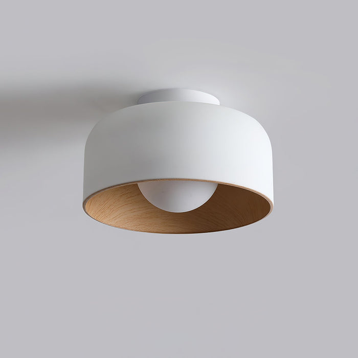 Lumosphere Ceiling Light.