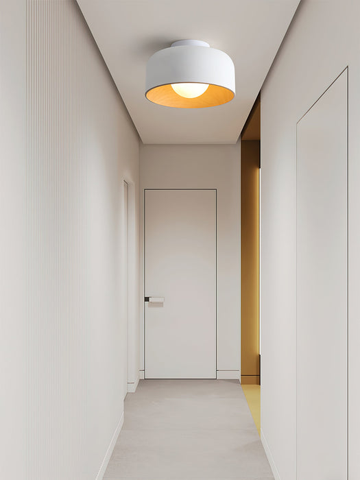 Lumosphere Ceiling Light.