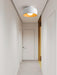 Lumosphere Ceiling Light - DWHOME