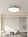 Lunaire Ceiling Light.