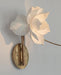 Lure Sconce - DWHOME