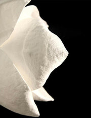 Lure Sconce-DWHOME