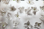 Lure Sconce-DWHOME