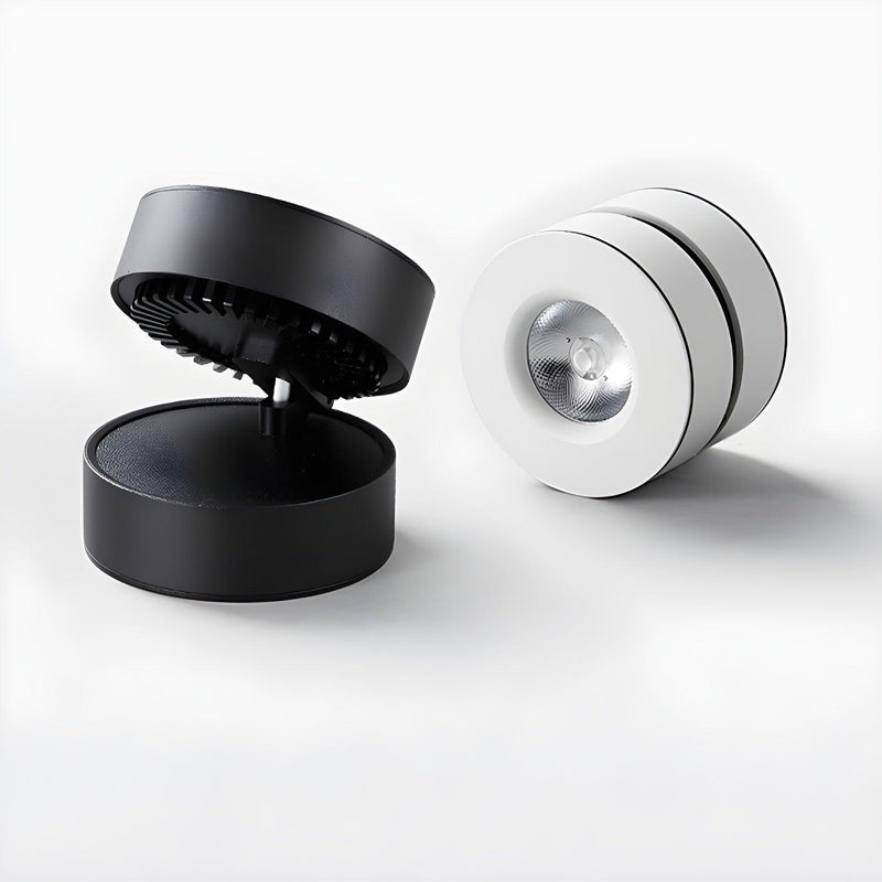 Lyric Adjustable Surface Downlight-DWHOME