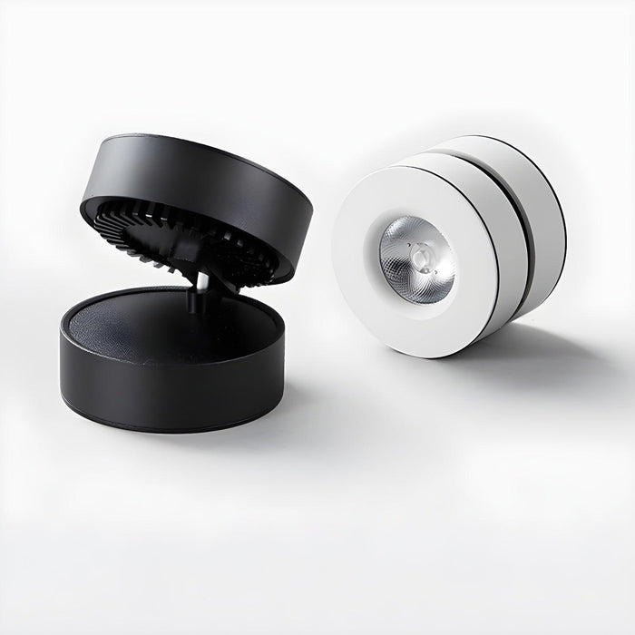 Lyric Adjustable Surface Downlight - DWHOME