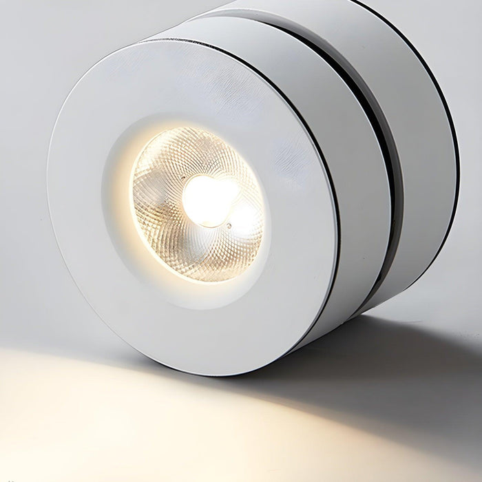 Lyric Adjustable Surface Downlight - DWHOME