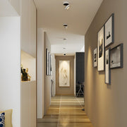 Lyric Adjustable Surface Downlight-DWHOME
