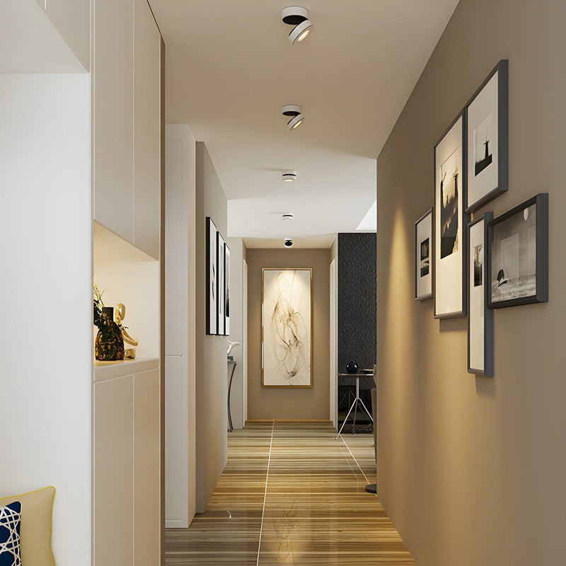 Lyric Adjustable Surface Downlight-DWHOME