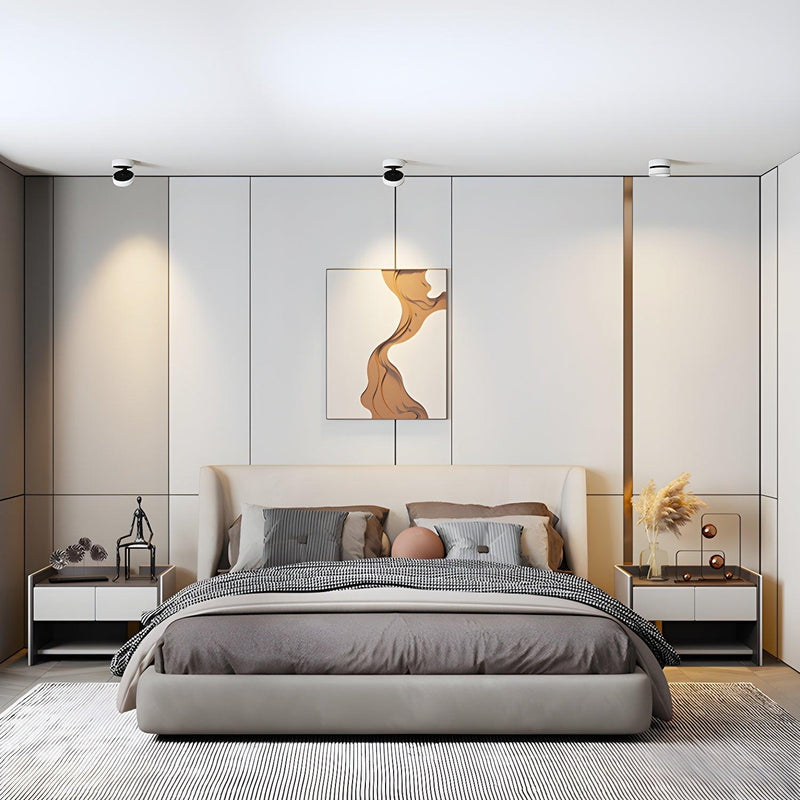 Lyric Adjustable Surface Downlight-DWHOME