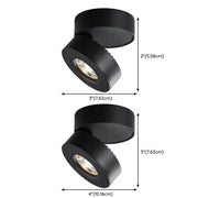 Lyric Adjustable Surface Downlight-DWHOME