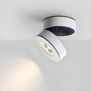 Lyric Adjustable Surface Downlight-DWHOME