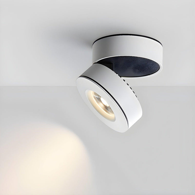 Lyric Adjustable Surface Downlight-DWHOME