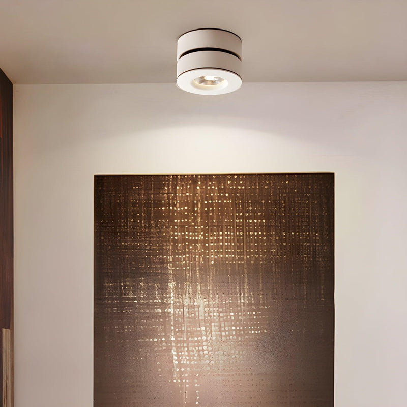 Lyric Adjustable Surface Downlight-DWHOME