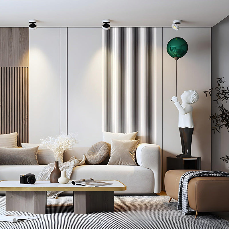 Lyric Adjustable Surface Downlight-DWHOME