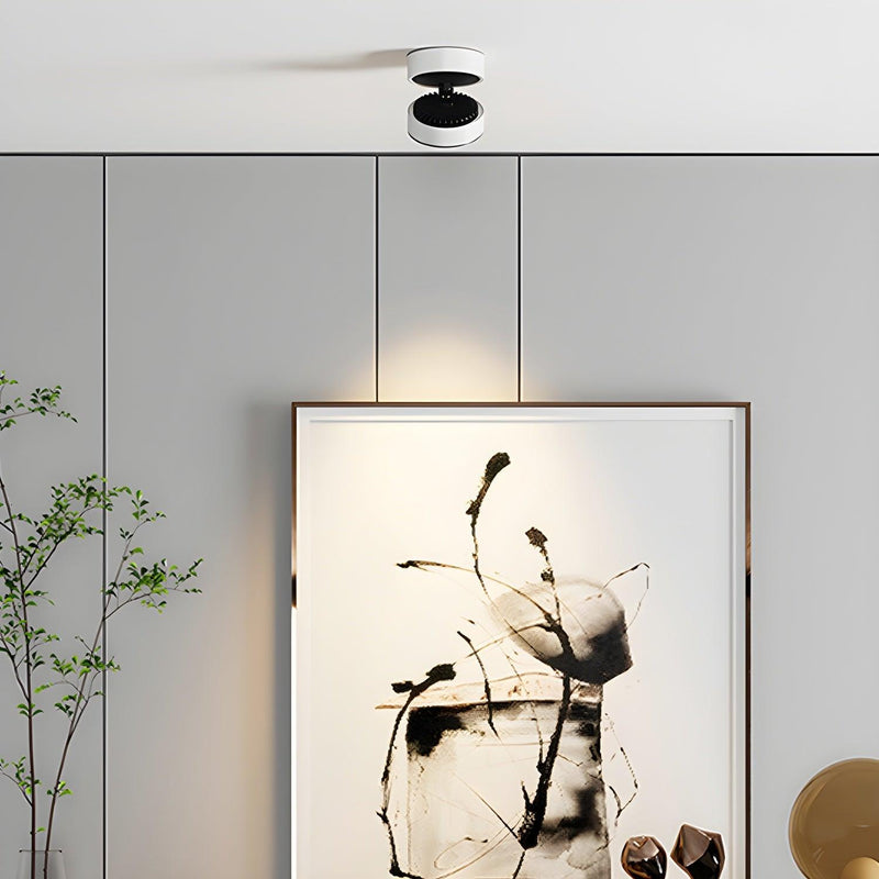 Lyric Adjustable Surface Downlight-DWHOME