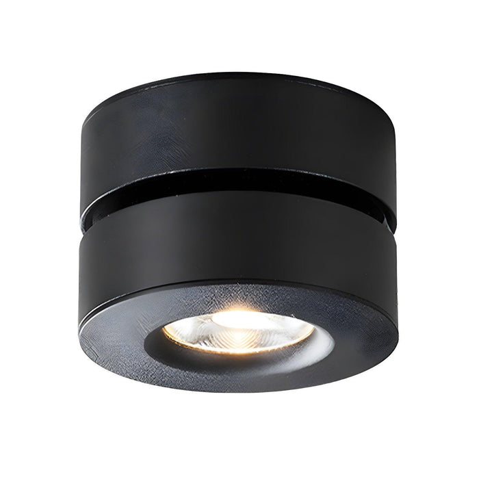 Lyric Adjustable Surface Downlight - DWHOME