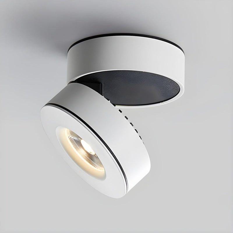 Lyric Adjustable Surface Downlight-DWHOME