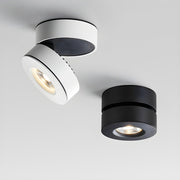 Lyric Adjustable Surface Downlight-DWHOME