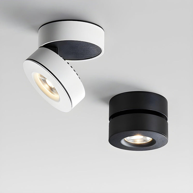 Lyric Adjustable Surface Downlight-DWHOME