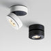 Lyric Adjustable Surface Downlight - DWHOME