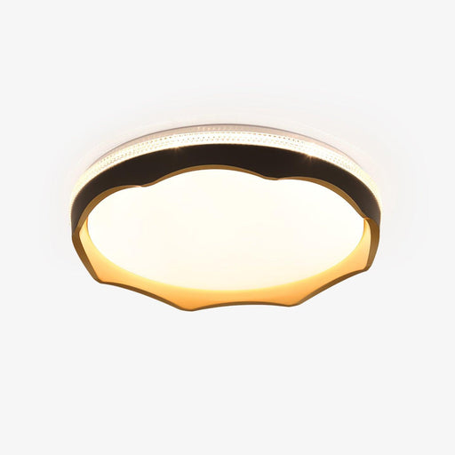 Lyric Ceiling Light-DWHOME