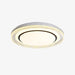 MIlagro Ceiling Light.