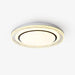 MIlagro Ceiling Light.