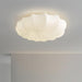 Malibu Ceiling Lamp.