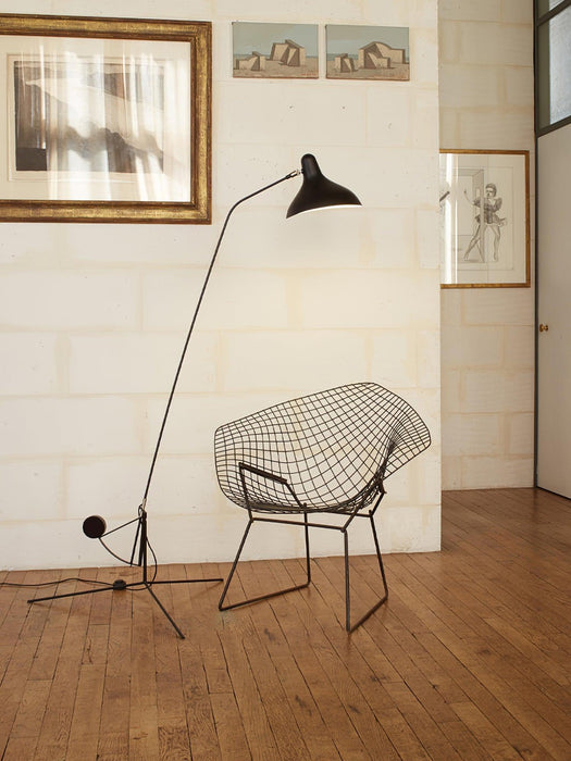 Mantis Arm Floor Lamp-DWHOME