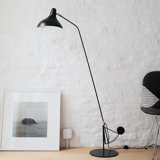 Mantis Arm Floor Lamp.