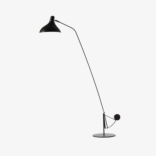 Mantis Arm Floor Lamp.