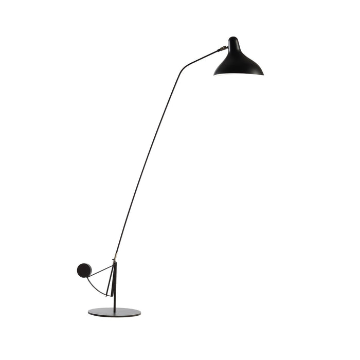 Mantis Arm Floor Lamp-DWHOME