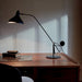Mantis Arm Table Lamp-DWHOME