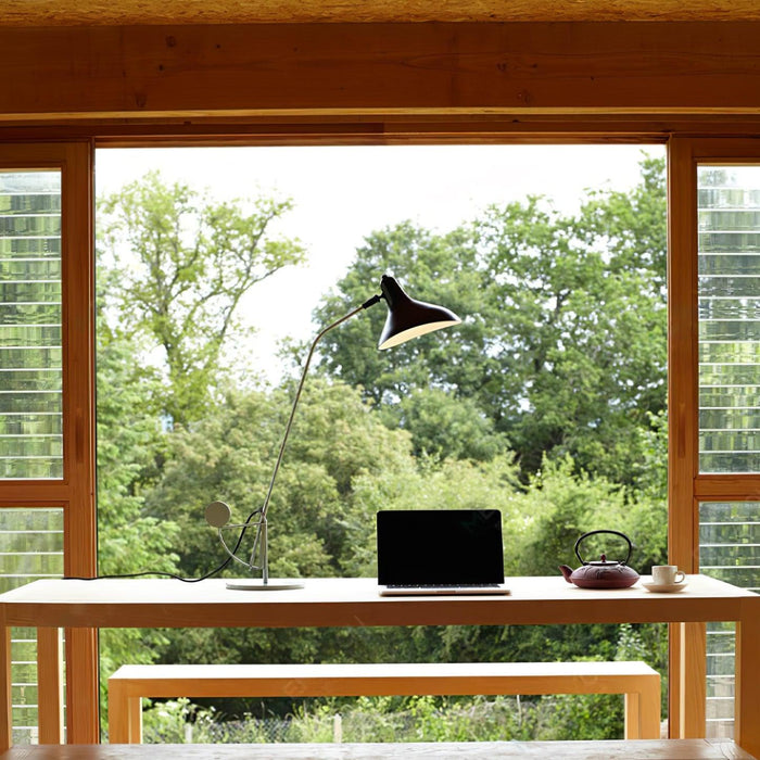 Mantis Arm Table Lamp-DWHOME